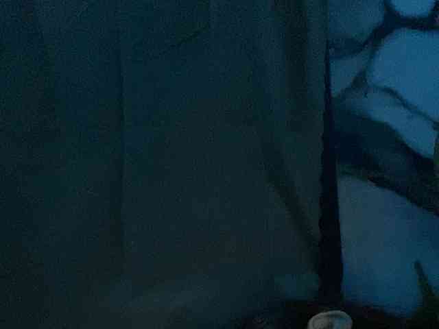 Rainie webcam