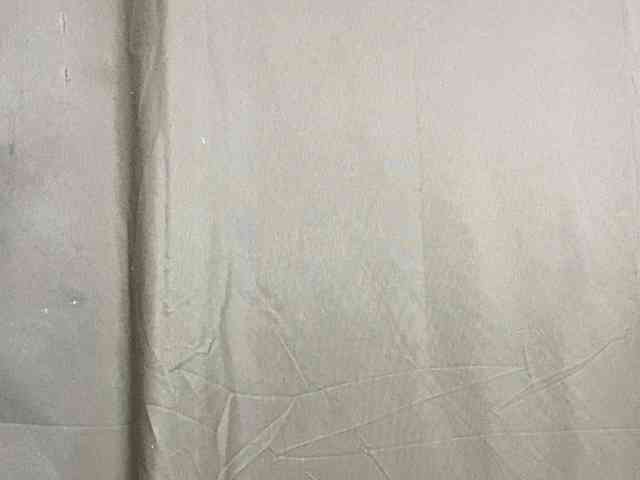 Rainie webcam