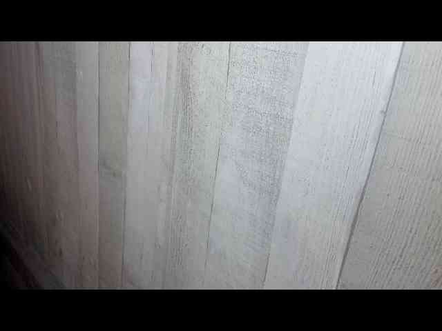 Rainie webcam