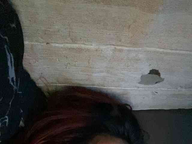 Rainie webcam