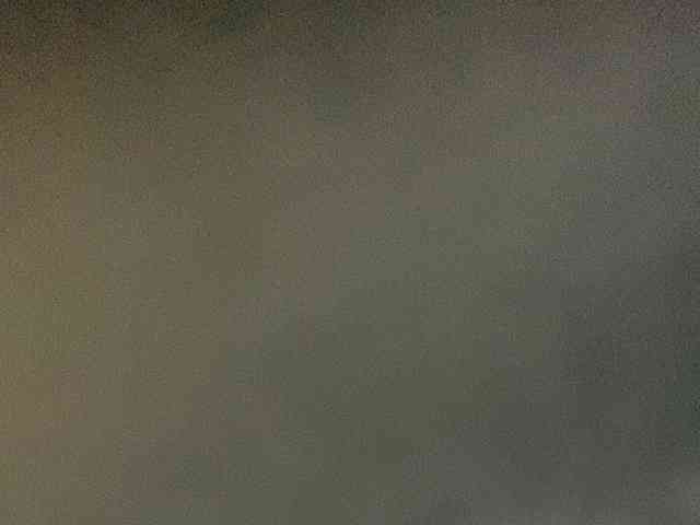 Rainie webcam