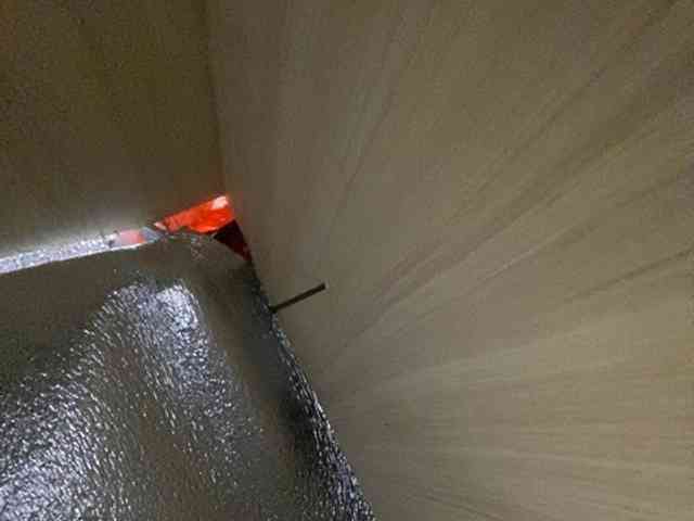 Rainie webcam