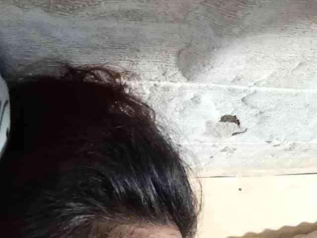 Rainie webcam