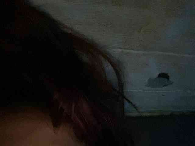Rainie webcam