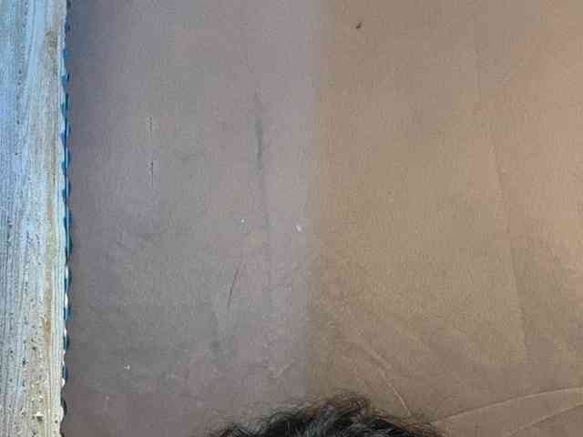 Rainie webcam