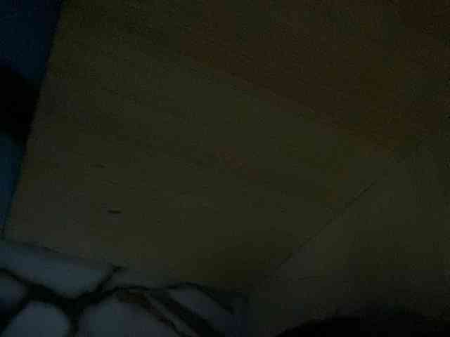 Rainie webcam