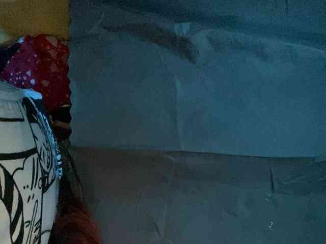 Rainie webcam