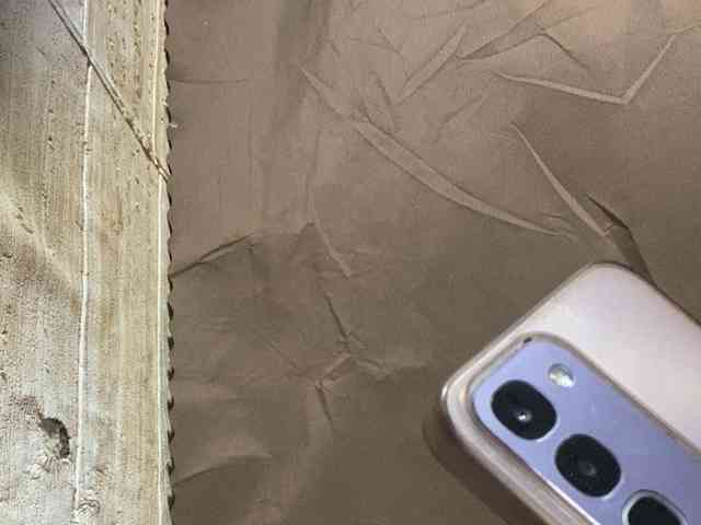 Rainie webcam