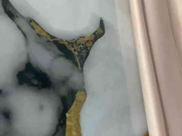 Rainie webcam