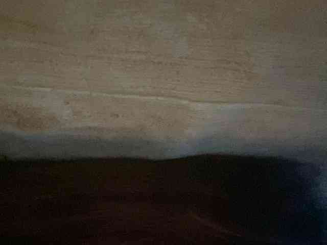 Rainie webcam