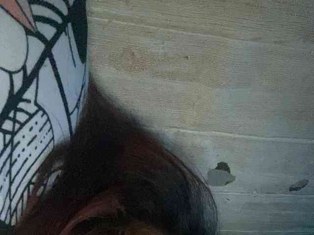 Rainie webcam