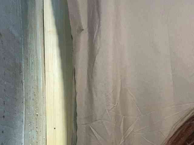 Rainie webcam