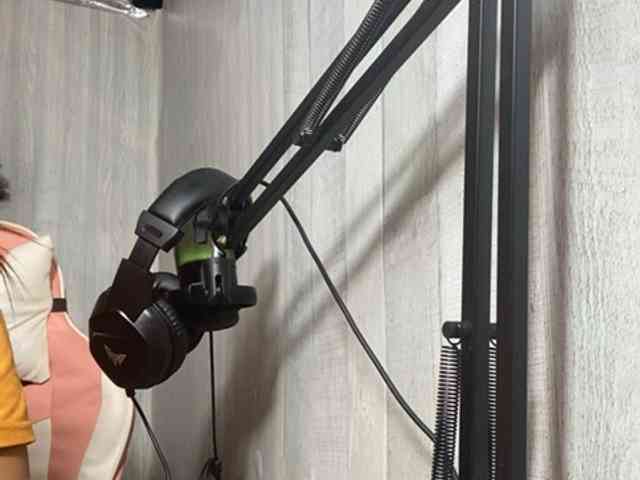 Rainie webcam
