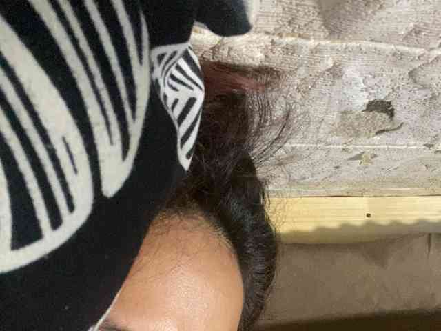 Rainie