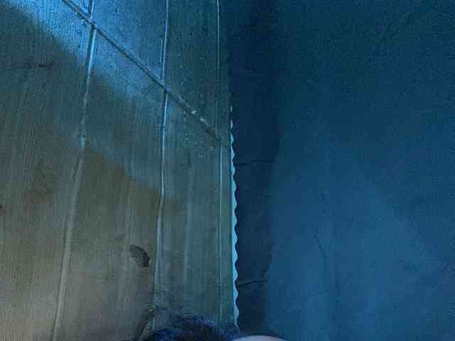 Rainie webcam