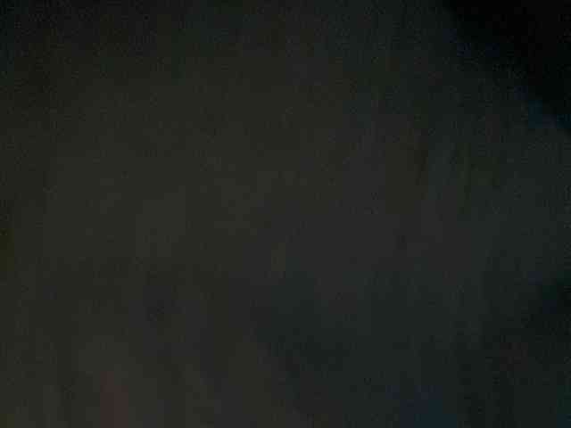 Rainie