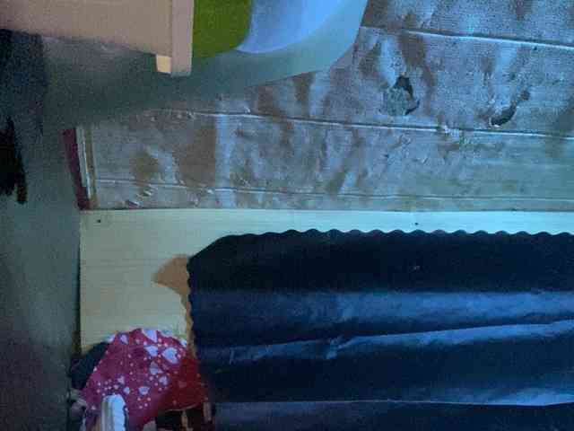 Rainie webcam