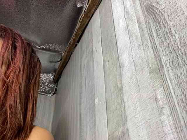 Rainie webcam