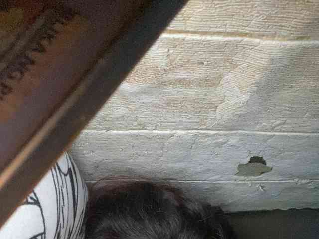 Rainie