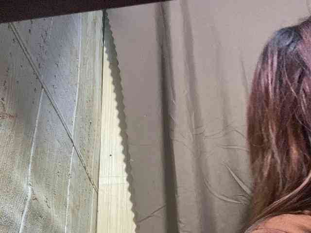 Rainie webcam