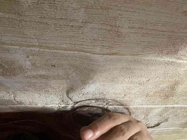 Rainie webcam