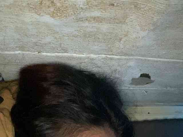 Rainie