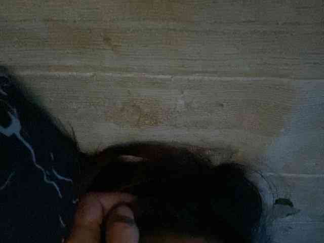 Rainie webcam