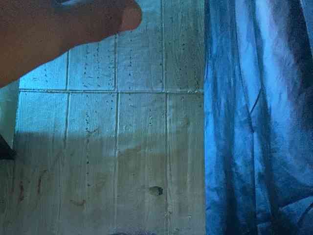 Rainie webcam