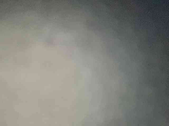 Rainie