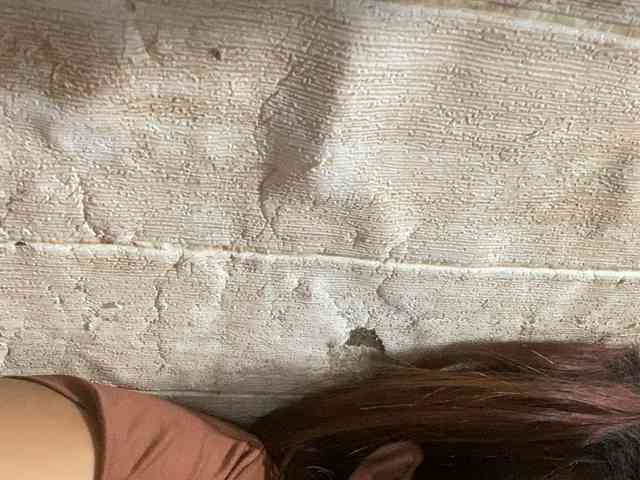 Rainie