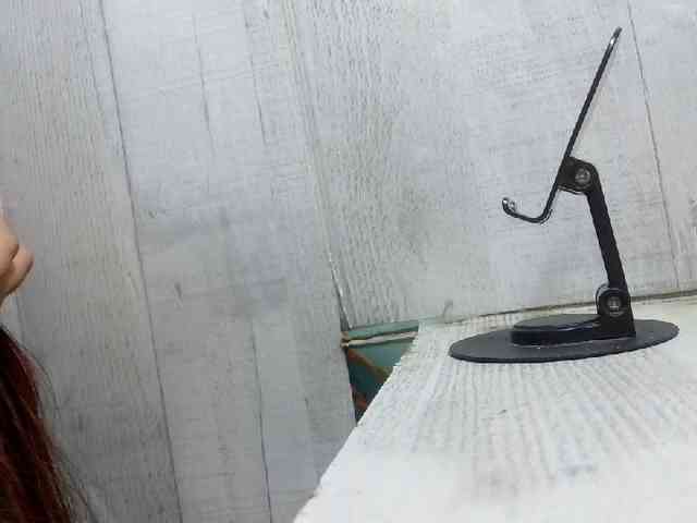 Rainie webcam