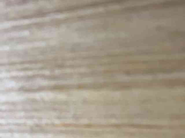 Rainie webcam
