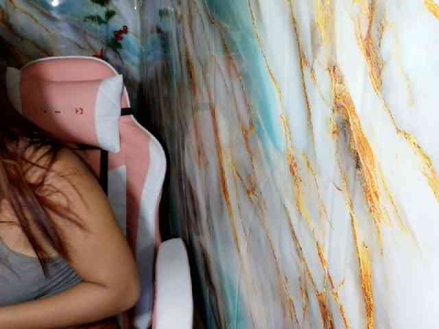 rasberrykat webcam