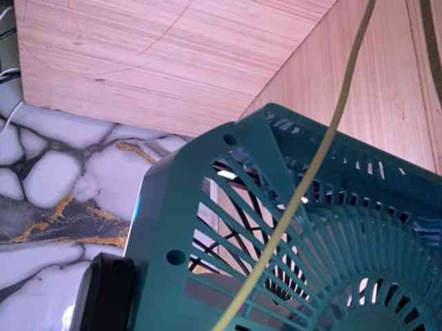 Rainie webcam
