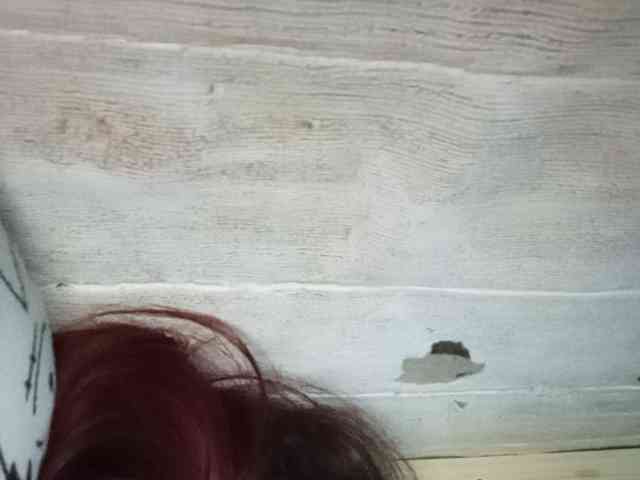Rainie webcam