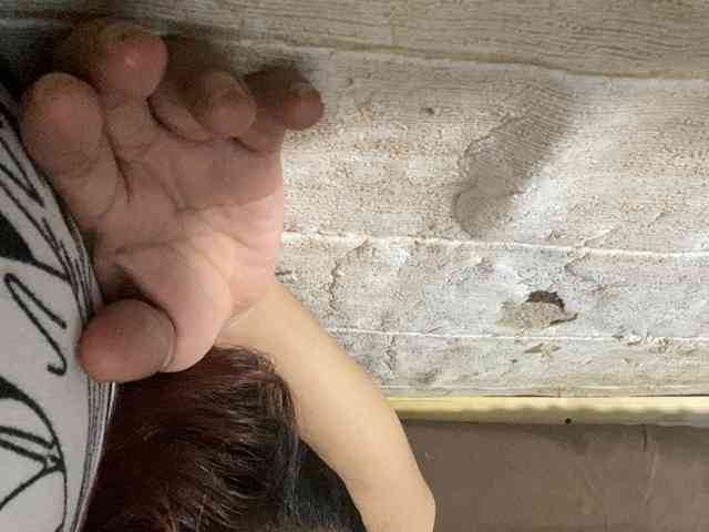 Rainie
