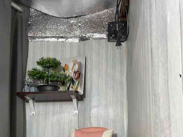 Rainie webcam
