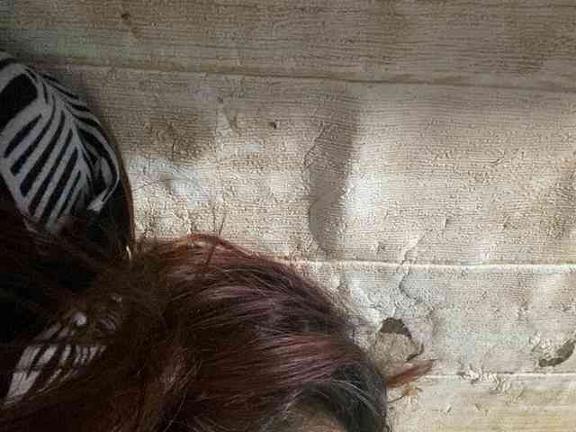 Rainie webcam