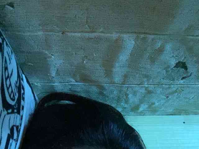 Rainie webcam