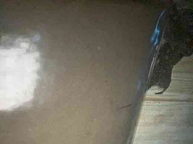 Rainie webcam