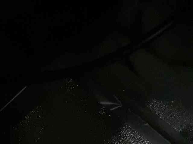 Rainie webcam