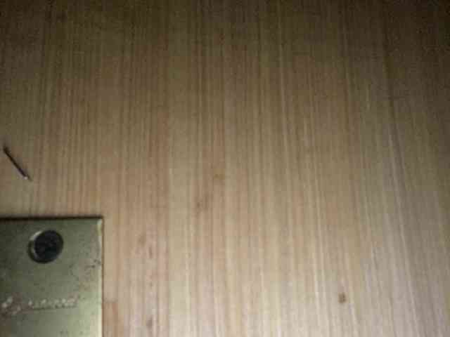 Rainie webcam