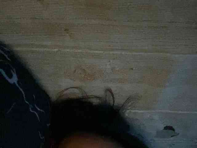 Rainie webcam