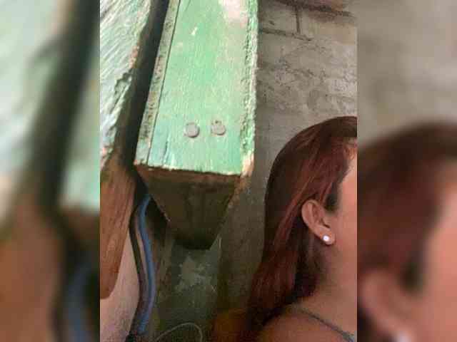 rasberrykat webcam