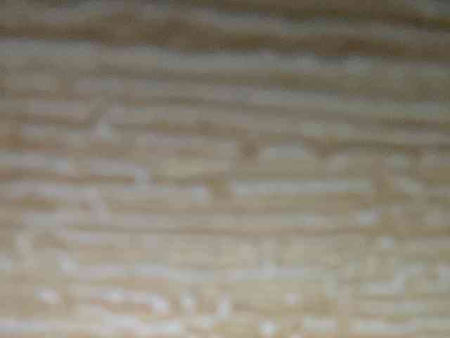 Rainie webcam