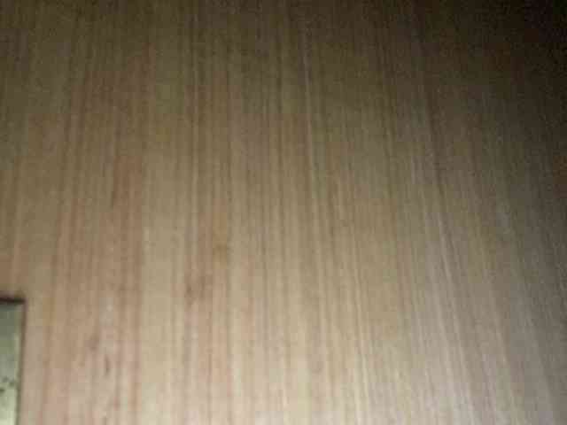 Rainie webcam