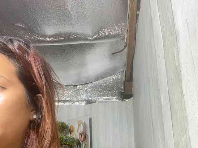 Rainie webcam