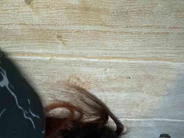 Rainie webcam