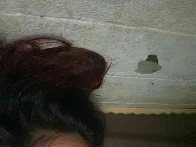 Rainie webcam