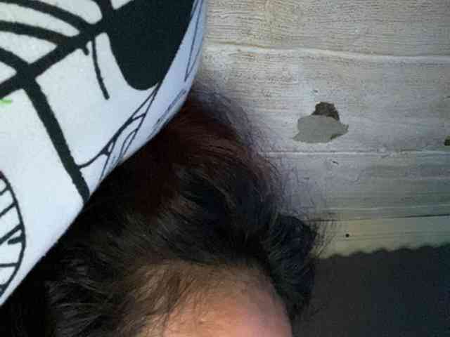 Rainie webcam